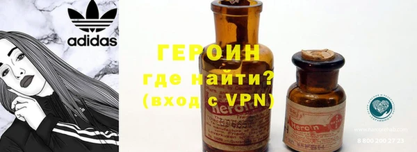 сатива Новозыбков