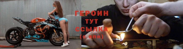 сатива Новозыбков
