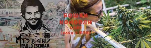 дживик Нея