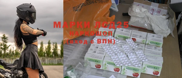 сатива Новозыбков